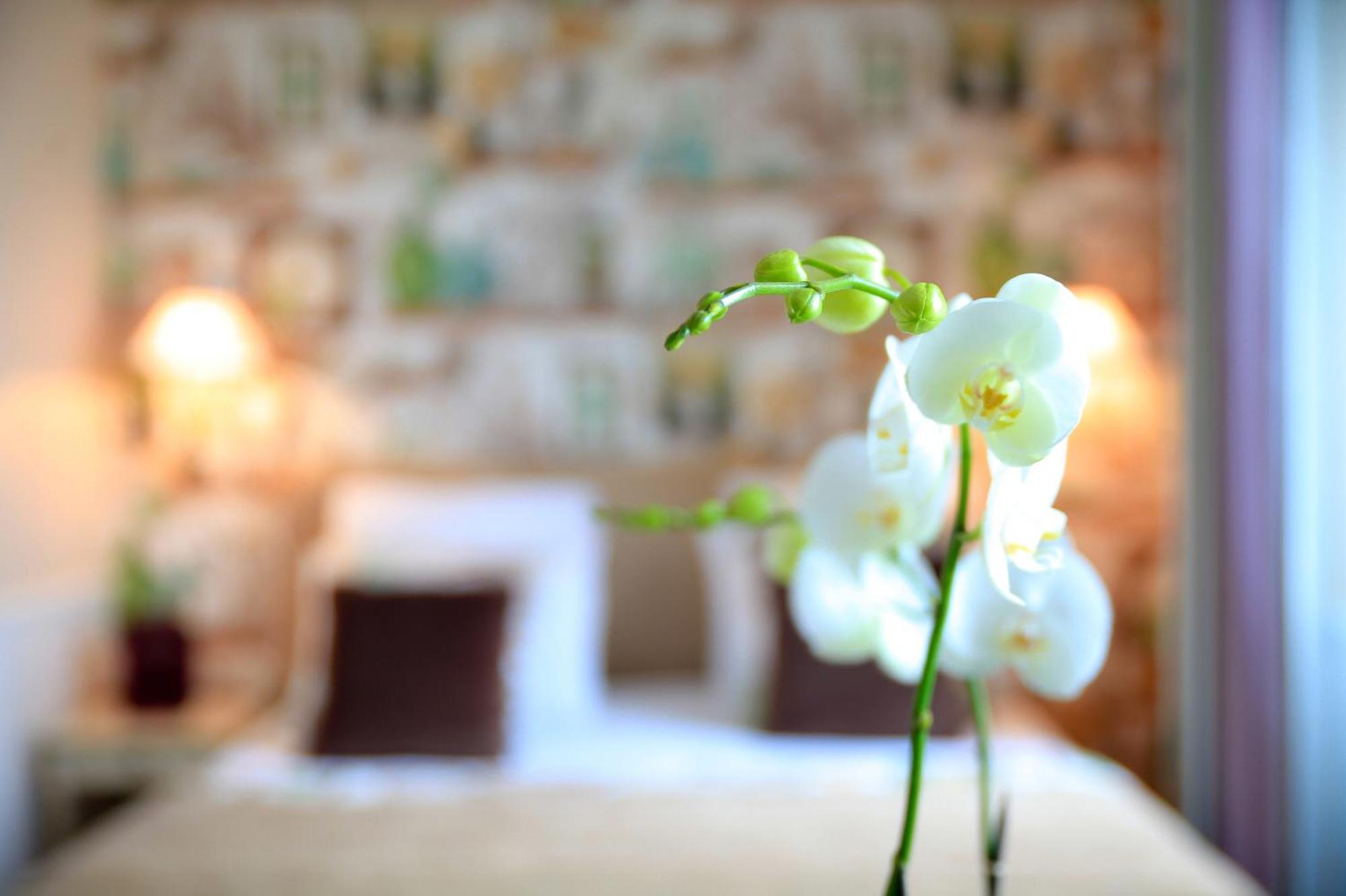 Hotel Relais Saint Jacques